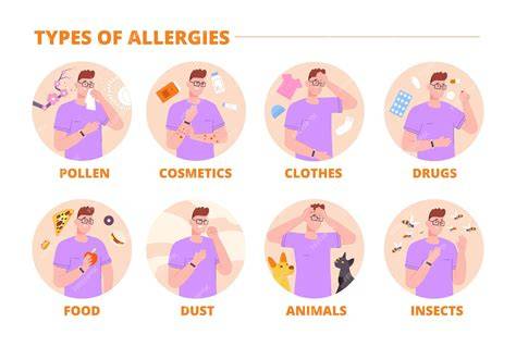 Illustration von verschiedenen Allergenen, die Windelausschlag auslösen können