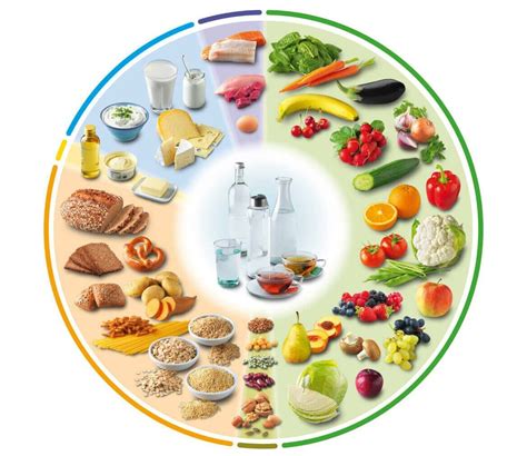 Eine Auswahl an gesunden Lebensmitteln, die in der Stillzeit empfohlen werden, darunter Obst, Gemüse, Vollkornprodukte und Milchprodukte.