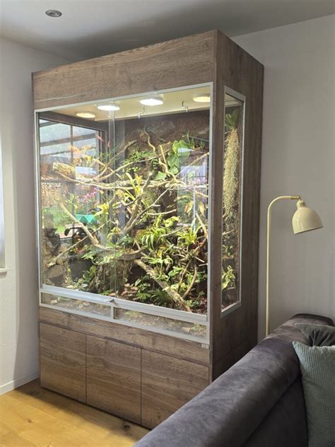 Styropor-Transportbox mit Innenbox und Ast für ein Chamäleon.