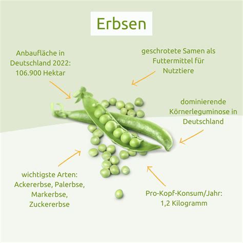Infografik mit den wichtigsten Nährstoffen von Erbsen für Babys