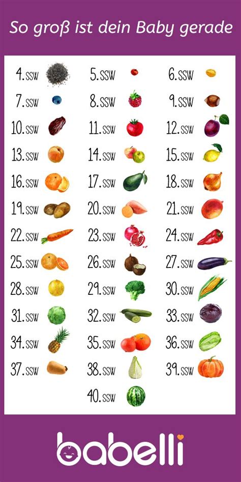 Grafik zur Größen- und Gewichtsentwicklung des Babys in der 34. SSW im Vergleich zu einer Zuckermelone