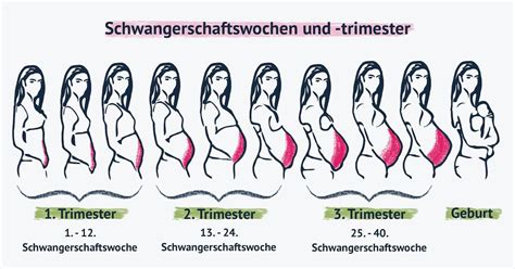 Illustration, die eine glückliche schwangere Frau im zweiten Trimester zeigt, mit einem leicht gewölbten Bauch und einem Lächeln.