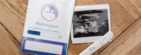 Mutterpass in einer Handtasche
