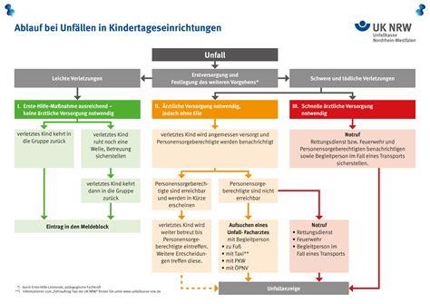 Schema zur schnellen Informationsgewinnung im Notfall durch den Mutterpass