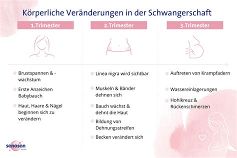 Infografik zu den körperlichen Veränderungen der Frau während der Schwangerschaft