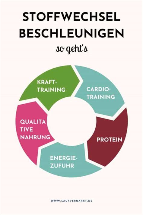 Grafik, die den Stoffwechsel und seine Balance zeigt