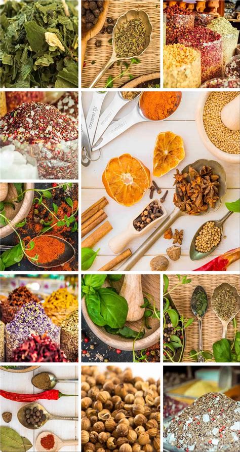 Collage mit verschiedenen Kräutern und Gewürzen
