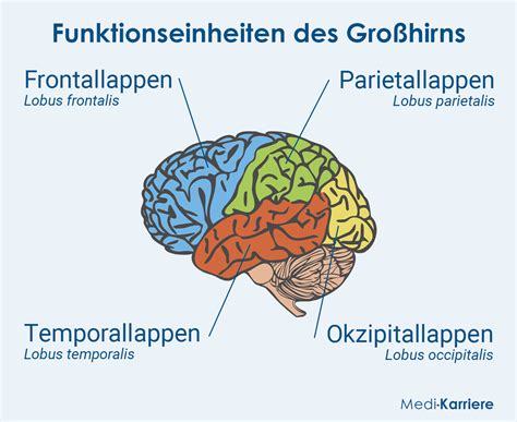 Schema mit den vier verschiedenen Grundtypen von Laufgittern.