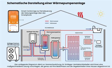 Schema einer monochorial-triamnioten Drillingsschwangerschaft