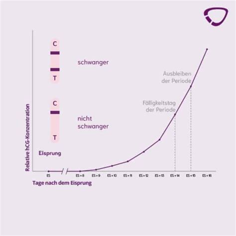 Grafik, die den Anstieg des hCG-Hormons im Blut und Urin während der frühen Schwangerschaft zeigt.