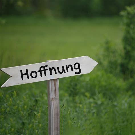 Symbolbild für Hoffnung und Durchhaltevermögen