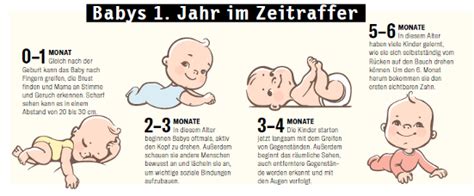 Grafik: Entwicklung eines Säuglings im ersten Lebensjahr