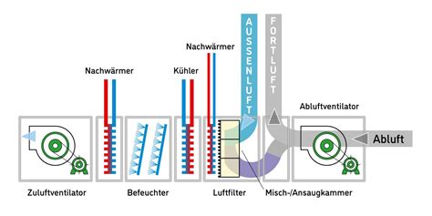 Schema: Funktionsweise des 4-in-1 Babynahrungszubereiters
