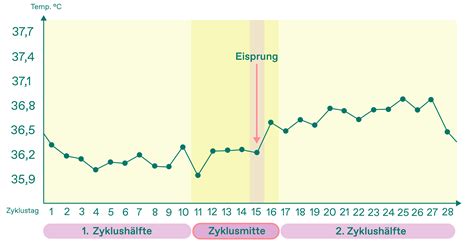 Grafik, die den Rückgang der Eizellreserve und der Fruchtbarkeit mit zunehmendem Alter zeigt