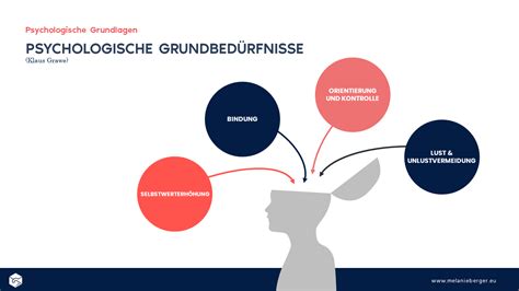 Eine Grafik, die die vier psychologischen Grundbedürfnisse darstellt.