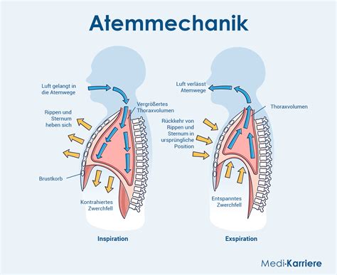 Schema: Mögliche Komplikationen von Reflux bei Säuglingen, wie Aspiration in die Atemwege oder Entzündung der Speiseröhre
