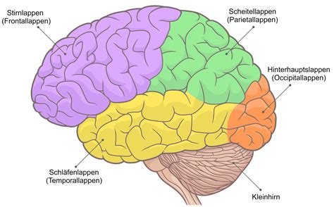Schema des Mutterpasses mit seinen Hauptabschnitten