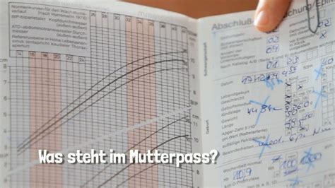 Detailansicht des Gravidogramms im Mutterpass