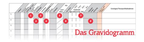Beispielhafte Eintragungen im Mutterpass-Gravidogramm