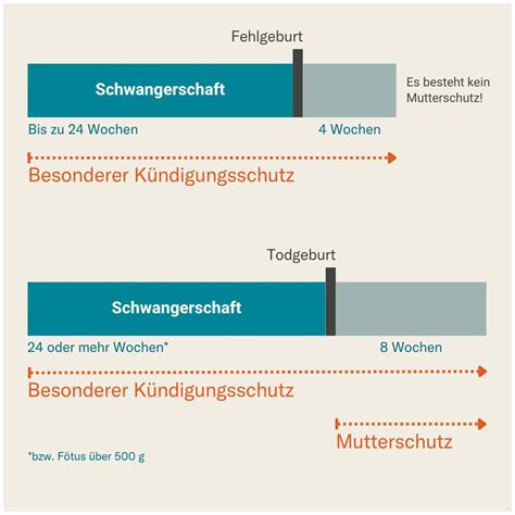 Infografik: Kündigungsschutz während Schwangerschaft und Elternzeit für Beamtinnen