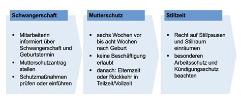 Schema: Ablauf Mutterschutzfristen für Beamtinnen