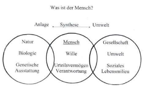 Schema zur Wechselwirkung von Anlage und Umwelt in der kindlichen Entwicklung