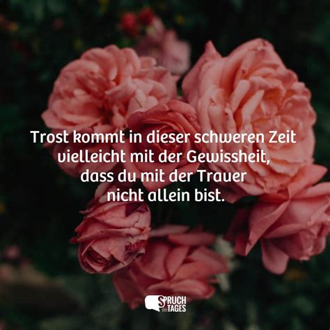 Symbolbild für Unterstützung und Trost in einer schweren Zeit
