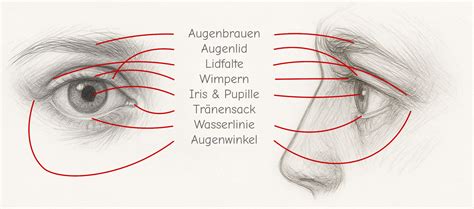 Vergleich von verschiedenen Schnullerformen (anatomisch, symmetrisch, rund) mit Fokus auf Kiefergerechtigkeit