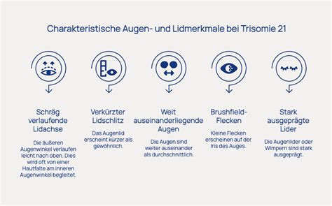 Grafik mit ausgewählten positiven Zitaten von Patientinnen