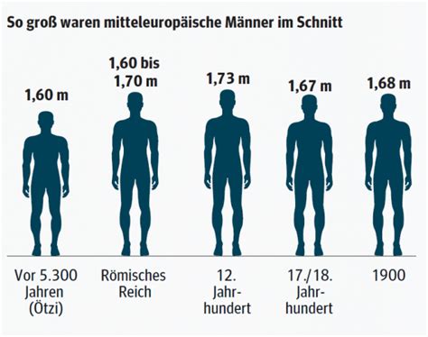 Grafik, die die i-Size Phasen nach Körpergröße und Fahrtrichtung darstellt