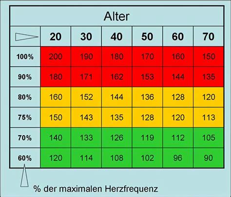 Grafik, die die erhöhte Blutmenge und Herzfrequenz in der Schwangerschaft zeigt