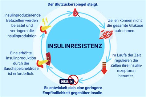 Infografik, die den Teufelskreis von PCOS, Insulinresistenz und Diabetes verdeutlicht