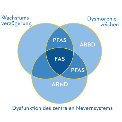 Schema zur Unterscheidung der Formen von Fetaler Alkoholspektrumstörung (FASD) mit den diagnostischen Säulen: Wachstum, Gesicht, ZNS und mütterlicher Alkoholkonsum.
