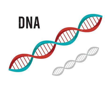 Symbol für DNA und Embryo