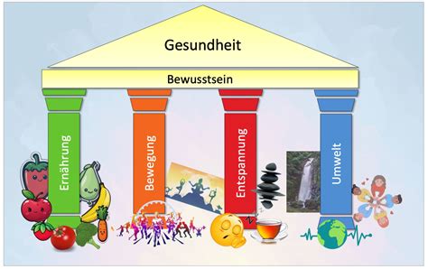 Infografik, die das RED-Syndrom und seine Auswirkungen auf die weibliche Gesundheit erklärt