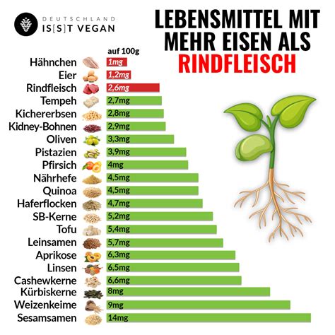 Bilder von eisenreichen Lebensmitteln wie Linsen, Spinat und rotem Fleisch
