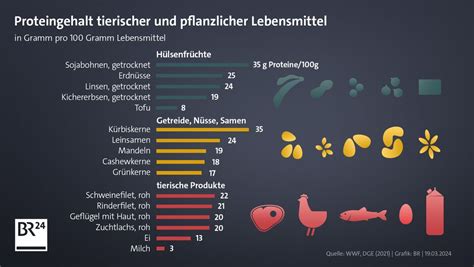 Collage aus Lebensmitteln mit hohem Proteingehalt und Antioxidantien: Beeren, Fisch, Nüsse, Hülsenfrüchte