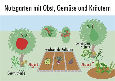 Illustration des Eisprungs und eine Auswahl an Obst, Gemüse und Nüssen
