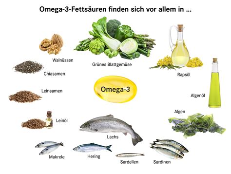 Bilder von Lebensmitteln reich an B-Vitaminen und Omega-3-Fettsäuren: Avocado, Nüsse, Fisch, Leinsamen