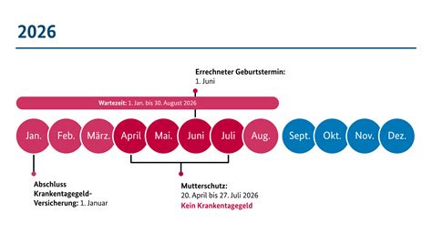 Infografik: Phasen des Mutterschutzes und Schutzfristen