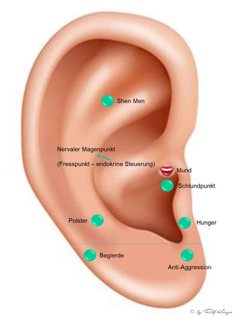 Schema zur Wirkung von Akupunktur