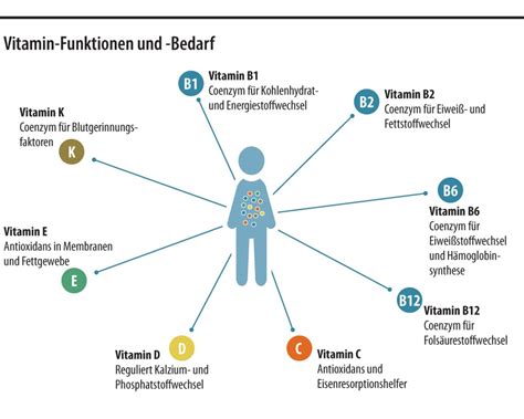Grafik, die die Aufnahme von fettlöslichen Vitaminen mit Hilfe von Öl erklärt.