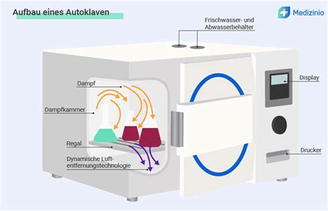 Schema, das den Prozess der Dampfsterilisation und Trocknung in einem elektrischen Sterilisator darstellt.
