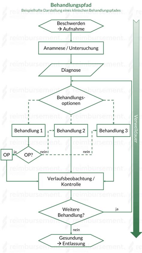 Schema der Behandlungspfade bei PPHN