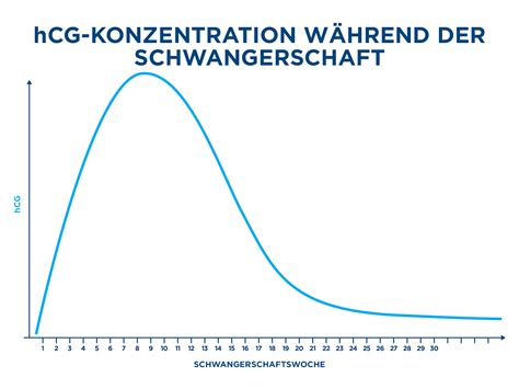 Schema zur hCG-Konzentration im Urin während der Frühschwangerschaft
