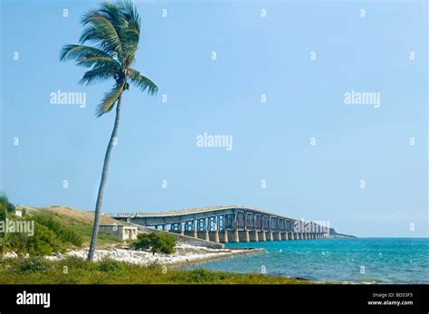 Die ikonische Brücke über das türkisfarbene Wasser der Florida Keys