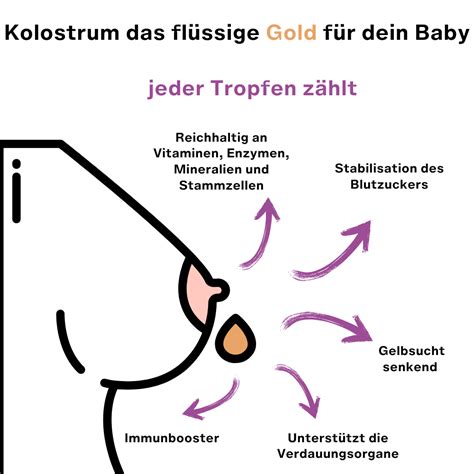 Illustration der Zusammensetzung von Kolostrum mit Fokus auf Immunfaktoren und Nährstoffe