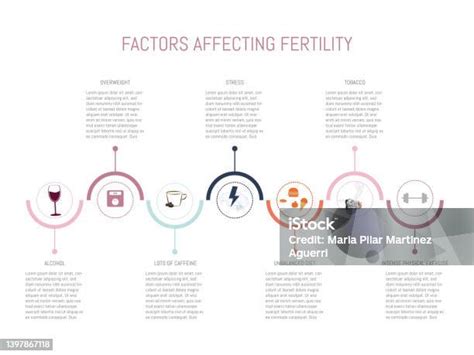 Infografik, die die verschiedenen Faktoren aufzeigt, die die Fruchtbarkeit beeinflussen können