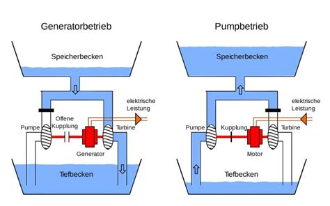 schematische Darstellung der Funktionsweise eines Schwangerschaftstests mit hCG-Nachweis