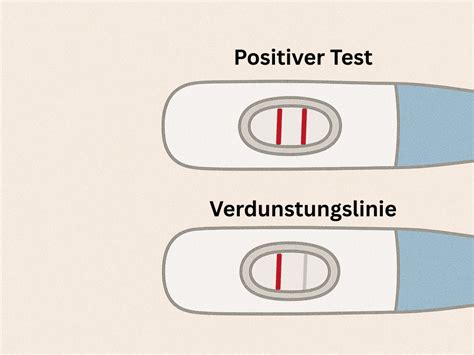 Gegenüberstellung einer Verdunstungslinie und einer positiven Testlinie auf einem Schwangerschaftstest